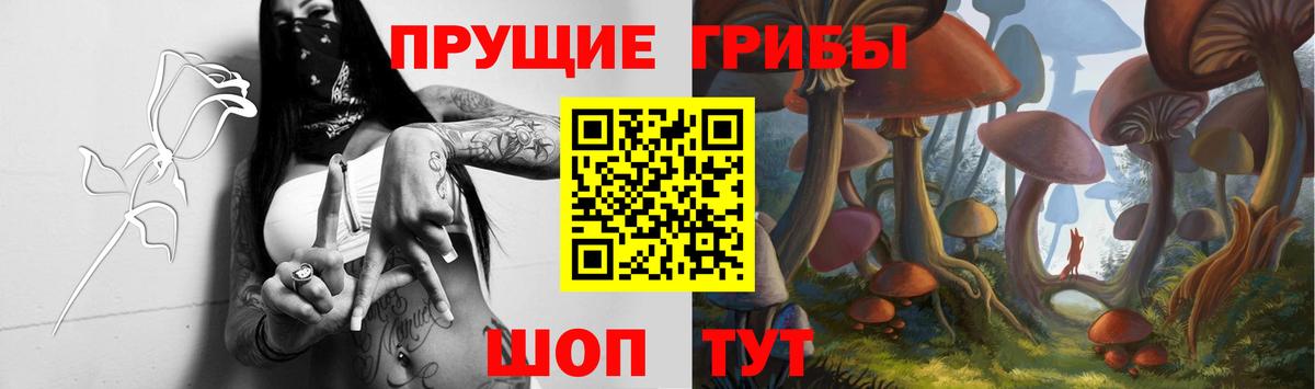 Елабуга  Псилоцибиновые грибы MAGIC MUSHROOMS  Вход с VPN 
